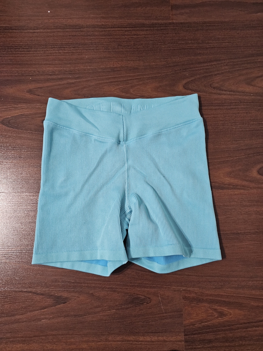 aerie Ribbed Aqua Bike Shorts
